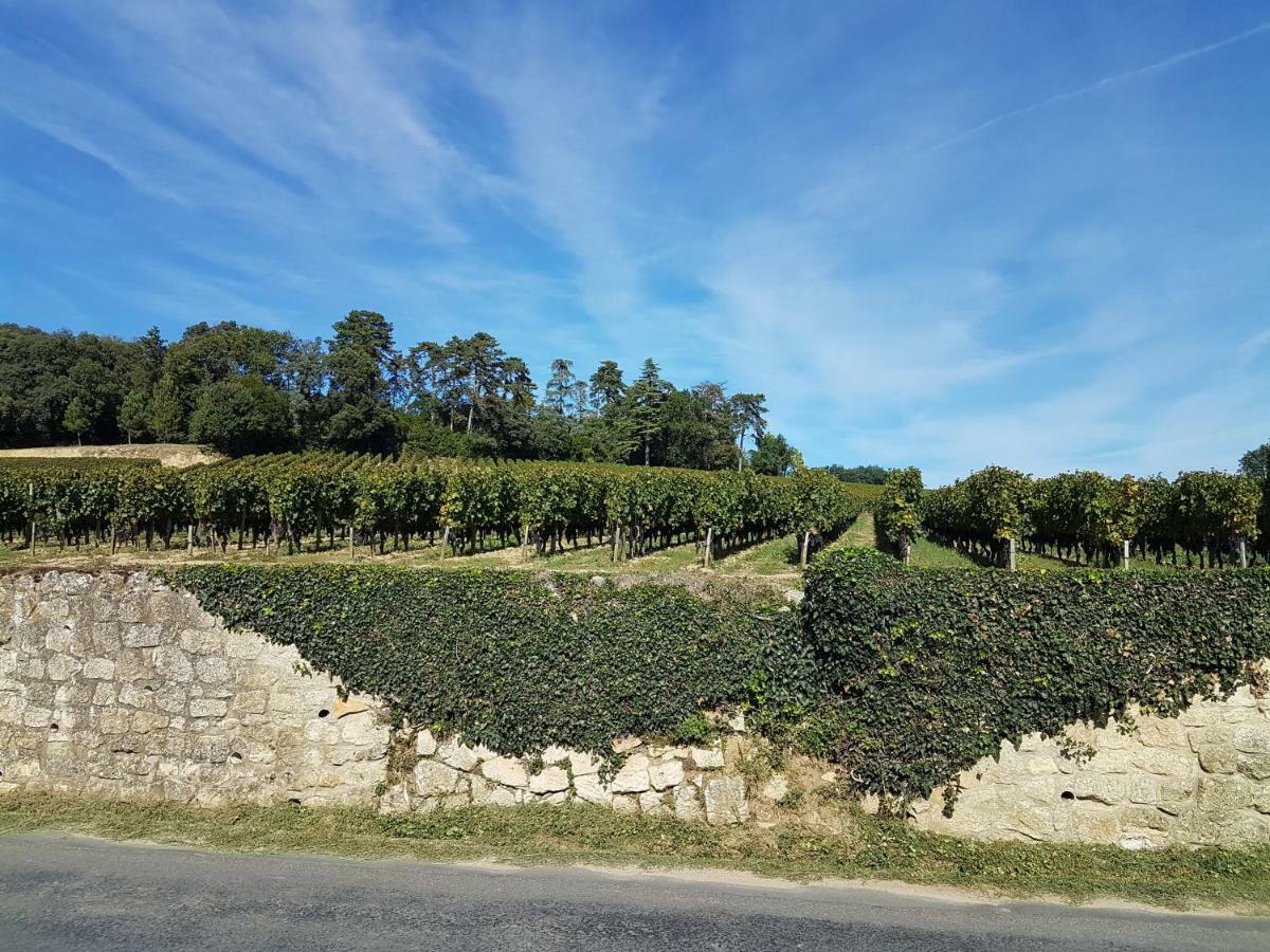 Villa Langlade Estate Montboyer Esterno foto
