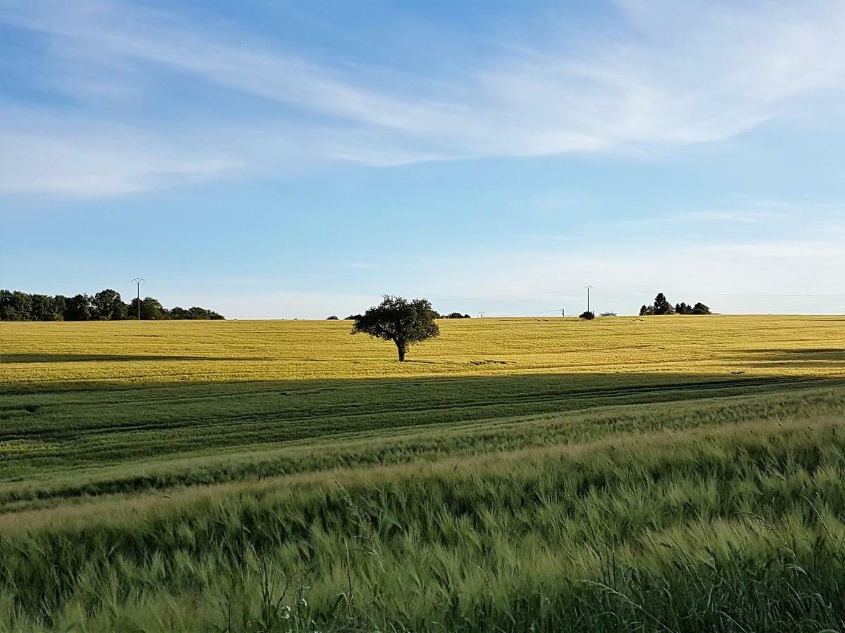 Villa Langlade Estate Montboyer Esterno foto